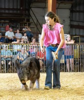 Washington County Fair