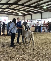 Johnson County Fair