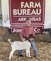 Johnson County Fair