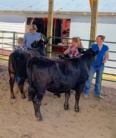 Aitkin County Fair
