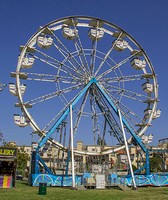 Mesa County Fair