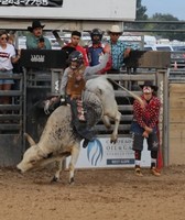 Mesa County Fair