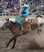 Polk County Fair