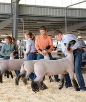 Lincoln County Fair