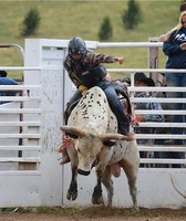 Teller County Fair