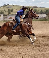 Teller County Fair