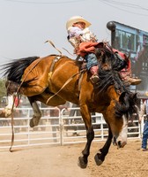 Yuma County Fair & Rodeo