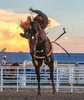 Yuma County Fair & Rodeo