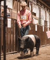 Park County Fair