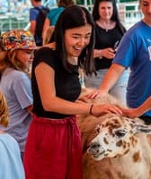 Alameda County Fair
