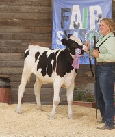 Big Stone County Fair