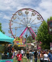 El Dorado County Fair