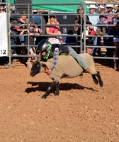 El Dorado County Fair
