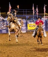 Kern County Fair