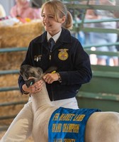 Lassen County Fair