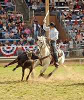 Mariposa County Fair
