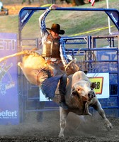 Monterey County Fair