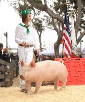 Monterey County Fair