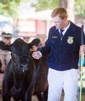 Placer County Fair