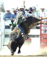 Sacramento County Fair