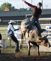Dodge County Free Fair