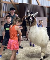 Dodge County Free Fair