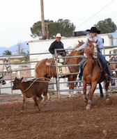 San Bernardino County Fair