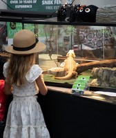 Santa Clara County Fair