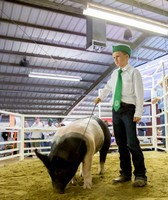 Santa Barbara County Fair