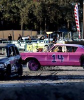 Sonoma County Fair