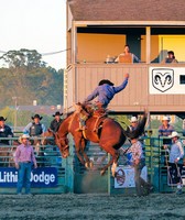 Sonoma County Fair