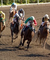 Sonoma County Fair