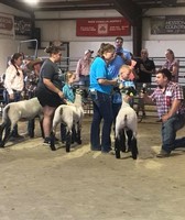 Baker County Fair