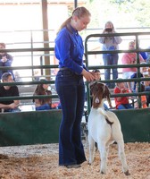 Coos County Fair & Rodeo