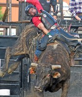 Pennington County Fair