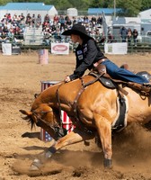 The New Lincoln County Fair 