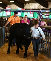 Linn County Fair