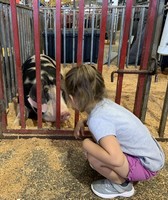 Marion County Fair