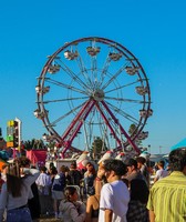 Washington County Fair