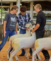 Washington County Fair