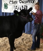 Clay County Fair