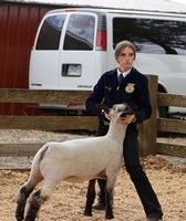 Yamhill County Fair & Rodeo