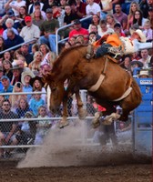 Cassia County Fair