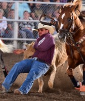 Cassia County Fair