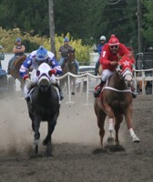 Cassia County Fair