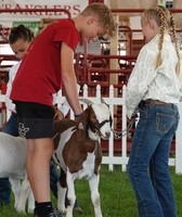 Canyon County Fair
