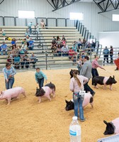 Bonneville County Fair