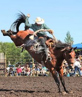 Todd County Fair