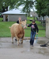 Adair County Fair