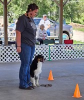 Adams County Fair